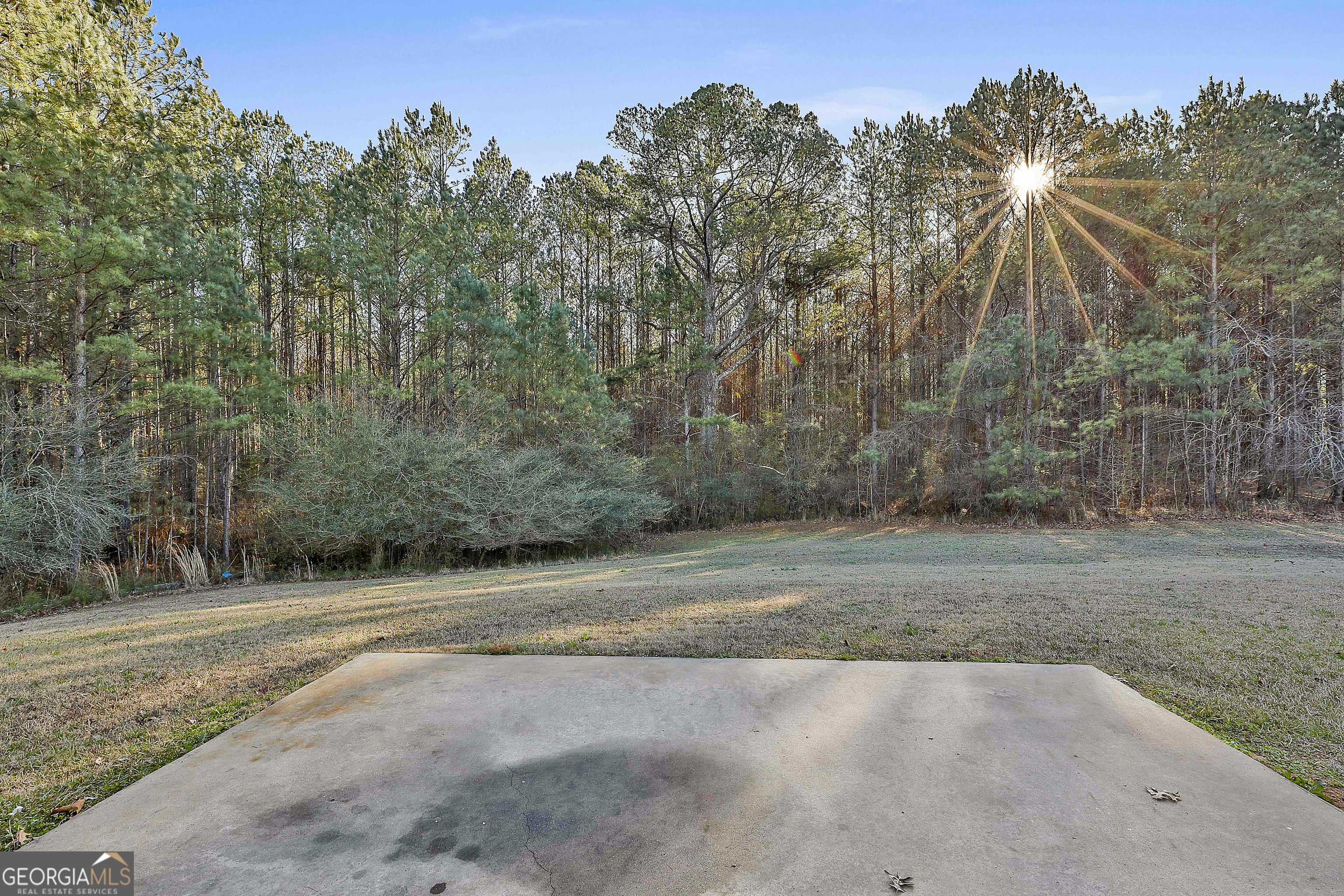 450 McKoy Road Newnan, GA 30263 - Photo 23 of 28 a view of a backyard of a house