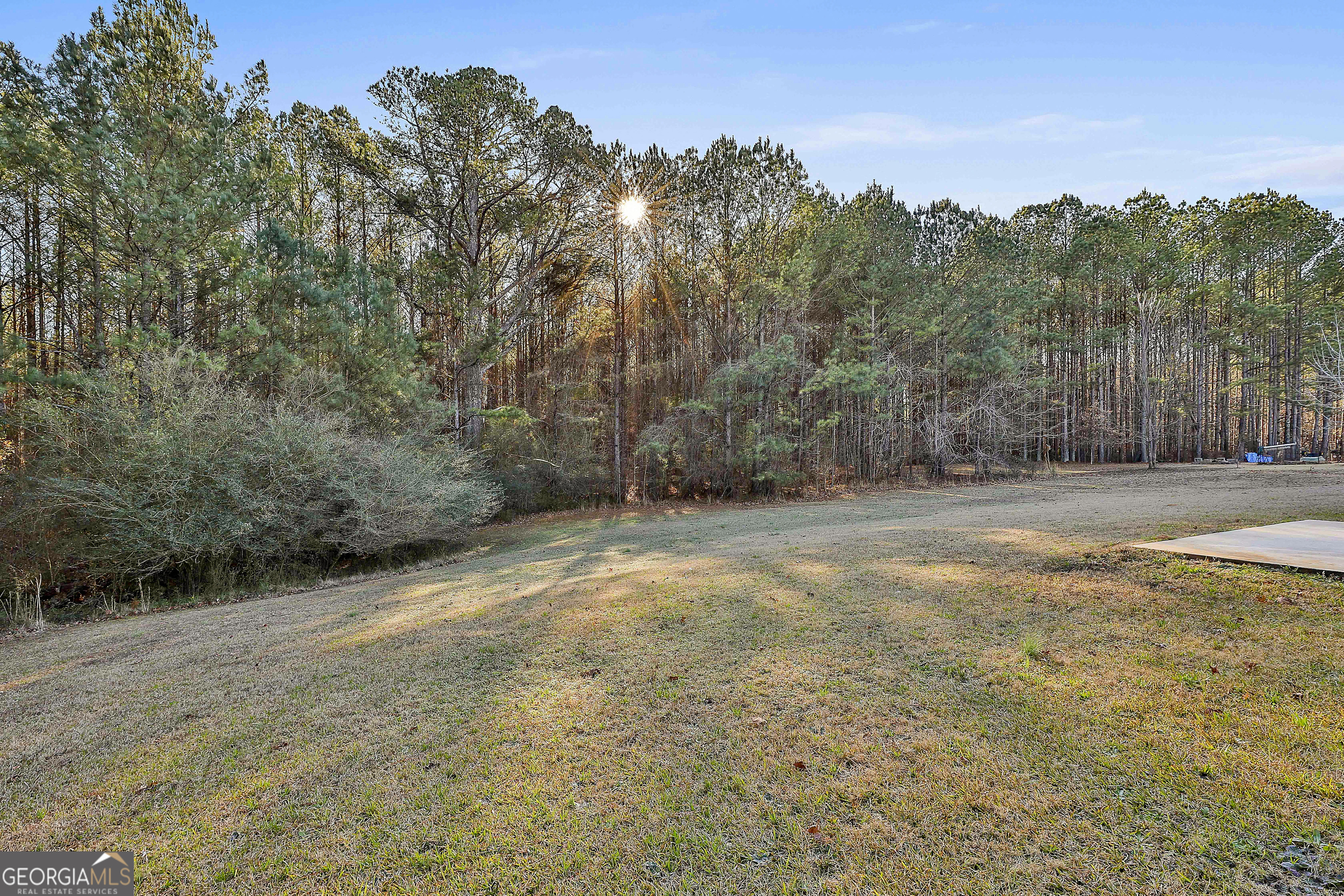 450 McKoy Road Newnan, GA 30263 - Photo 25 of 28 a view of a yard with a tree
