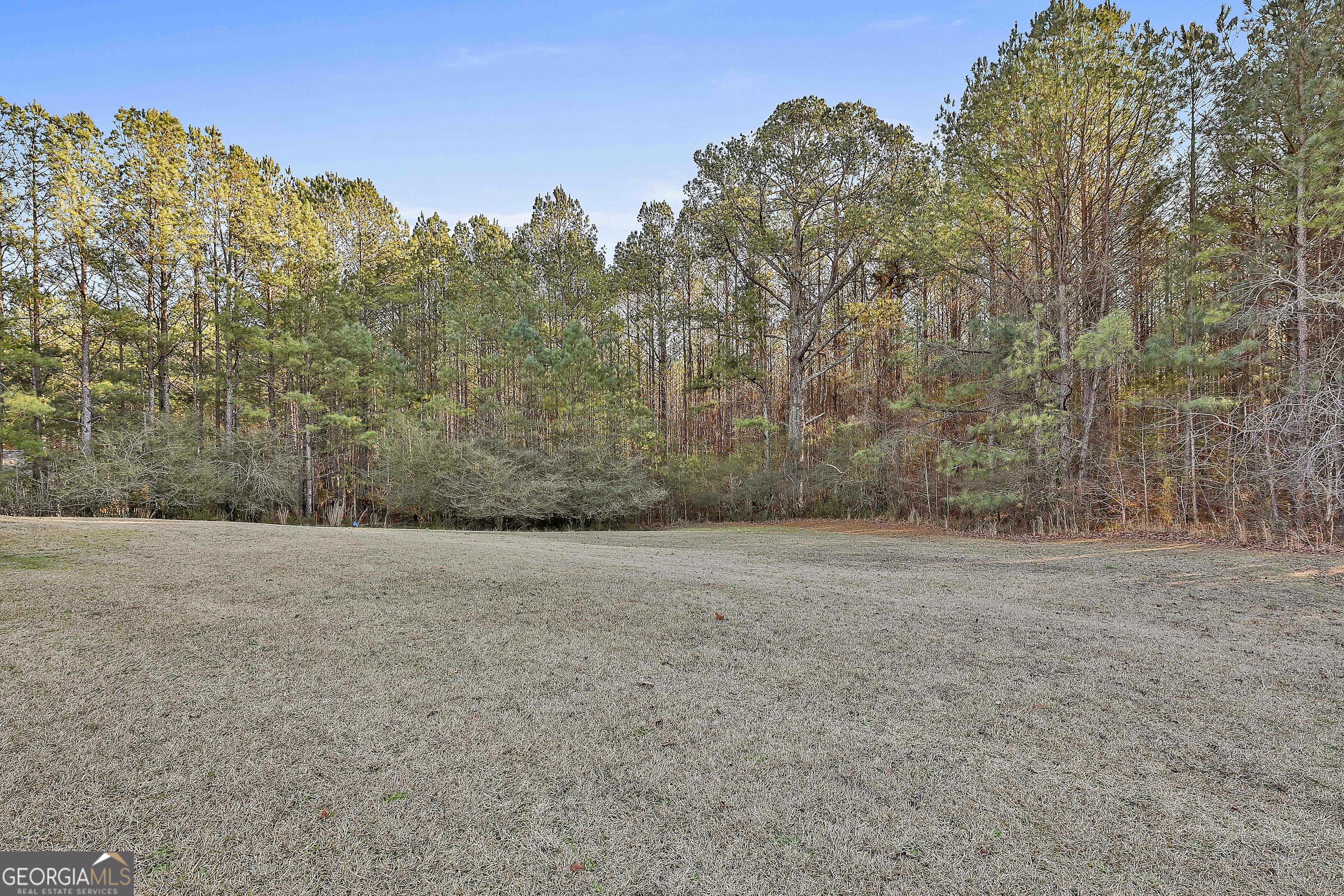 450 McKoy Road Newnan, GA 30263 - Photo 28 of 28 a view of a field with trees in the background