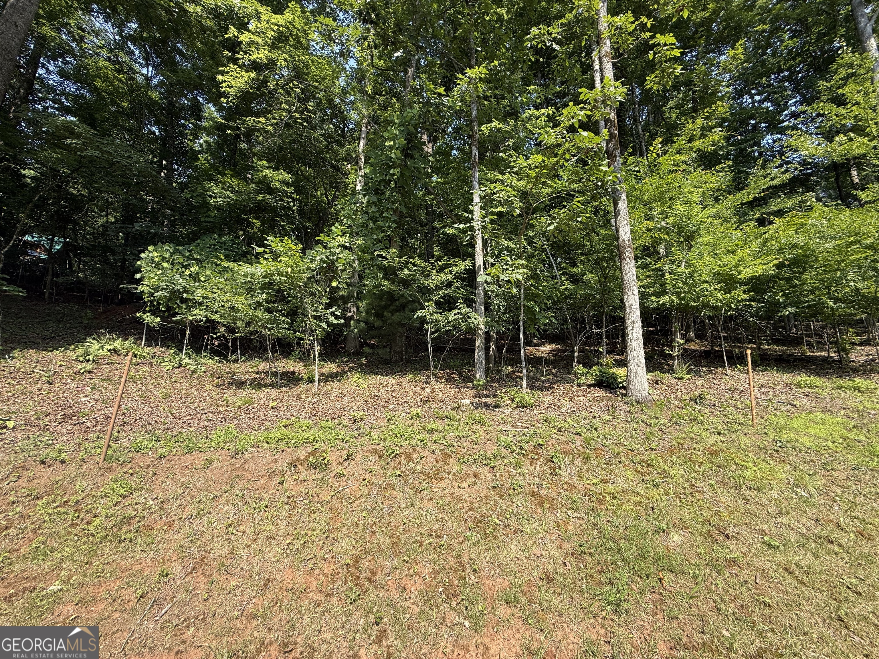 248 Ledford Chapel Road Hayesville, NC 28904 - Photo 20 of 24