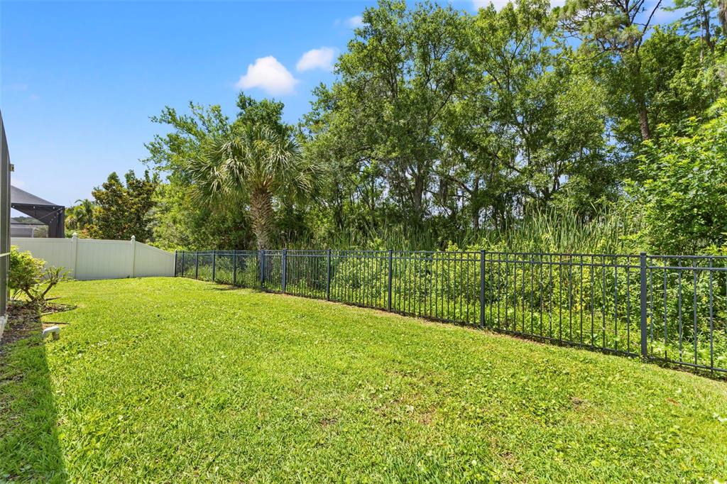 11621 Renaissance View Court Tampa, FL 33626 - Photo 3 of 32