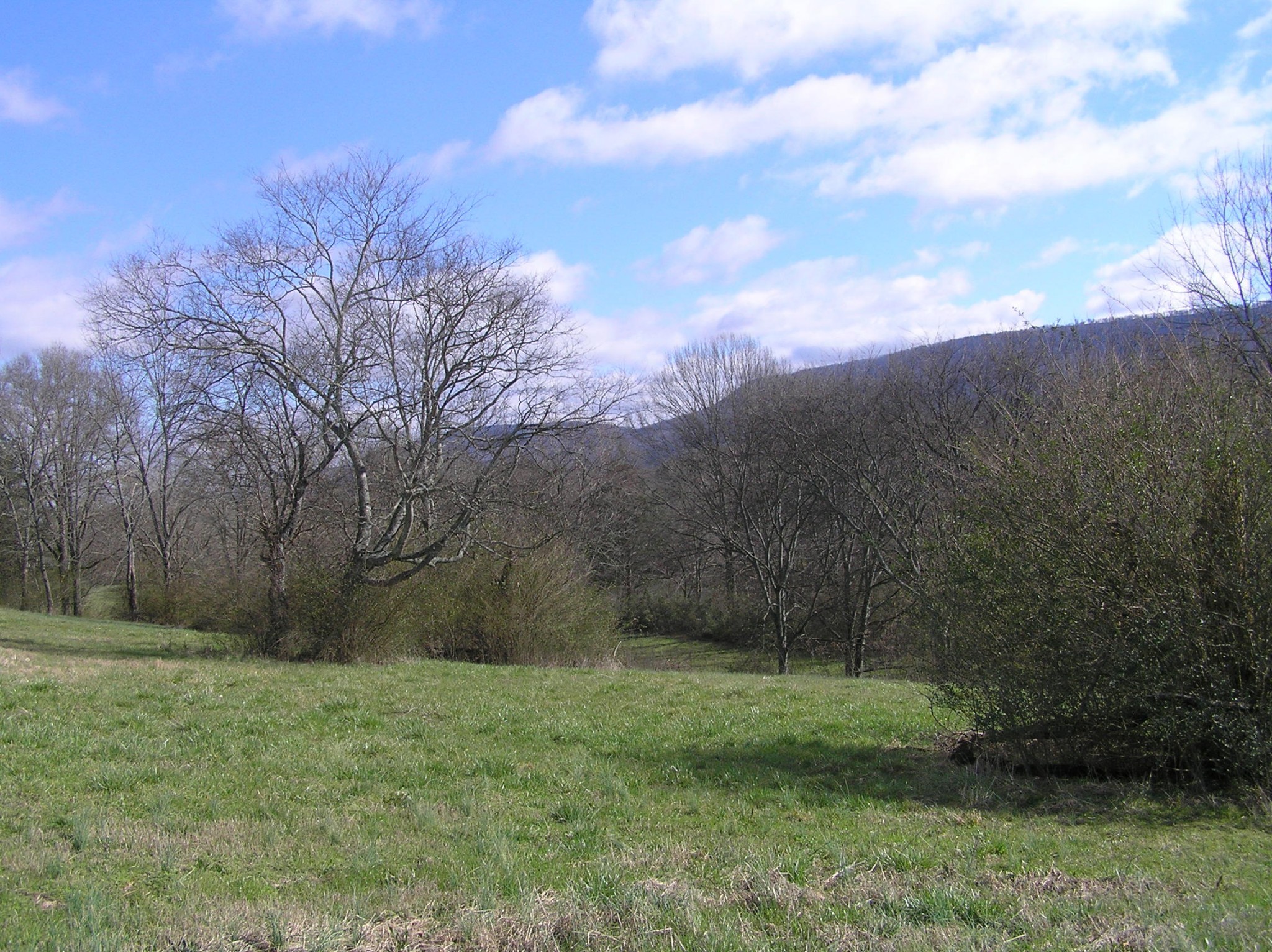 1072 Hudlow Road Dunlap, TN 37327 - Photo 8 of 30 Gallery Image 8