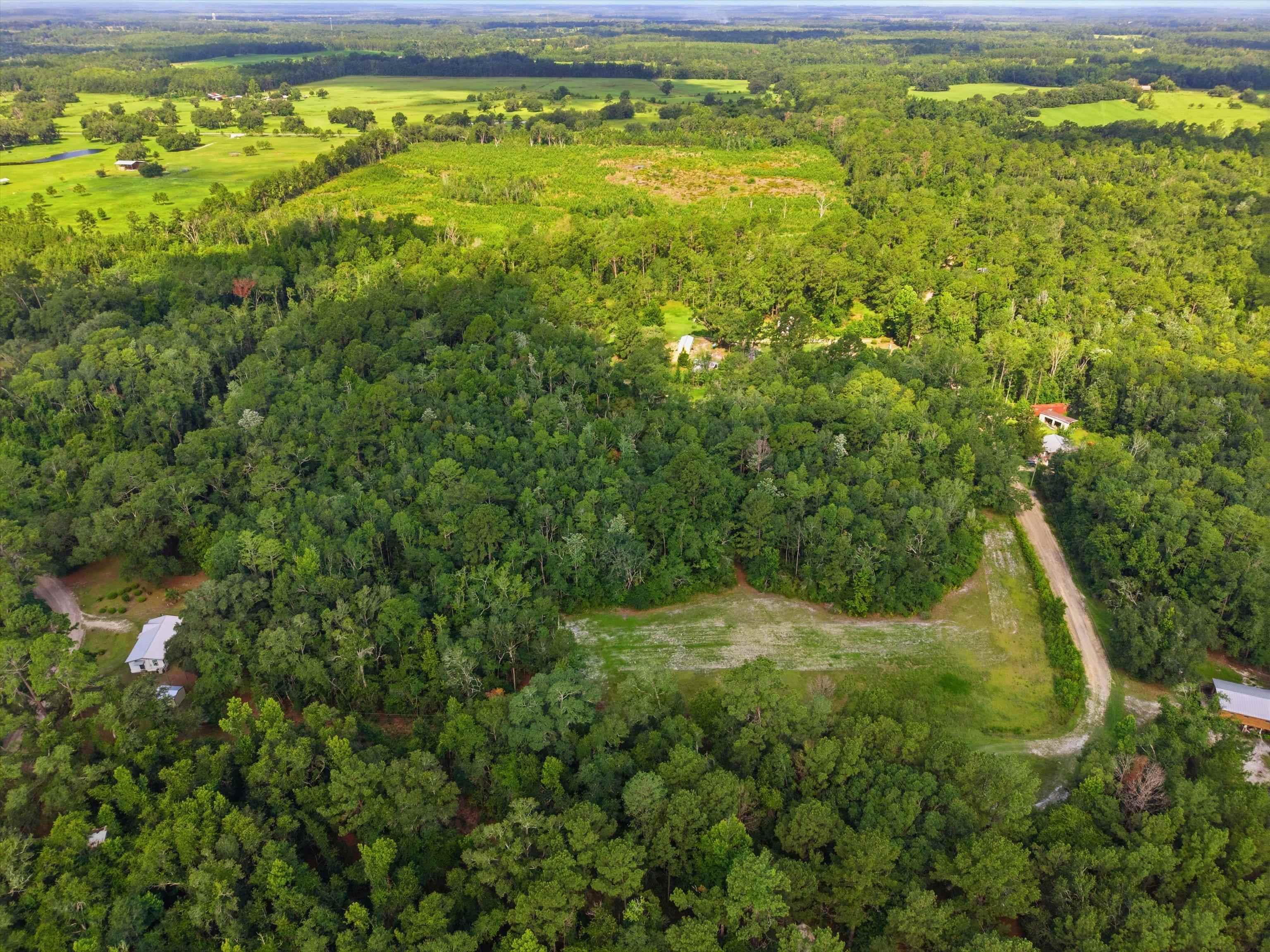 Xxx Neely Road Monticello, FL 32344 - Photo 10 of 37