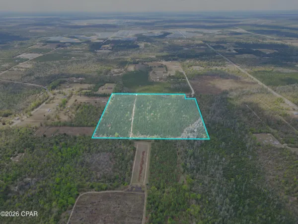 $370,000 | 37-acres Northwest Melvin Road, Clarksville, FL 32430