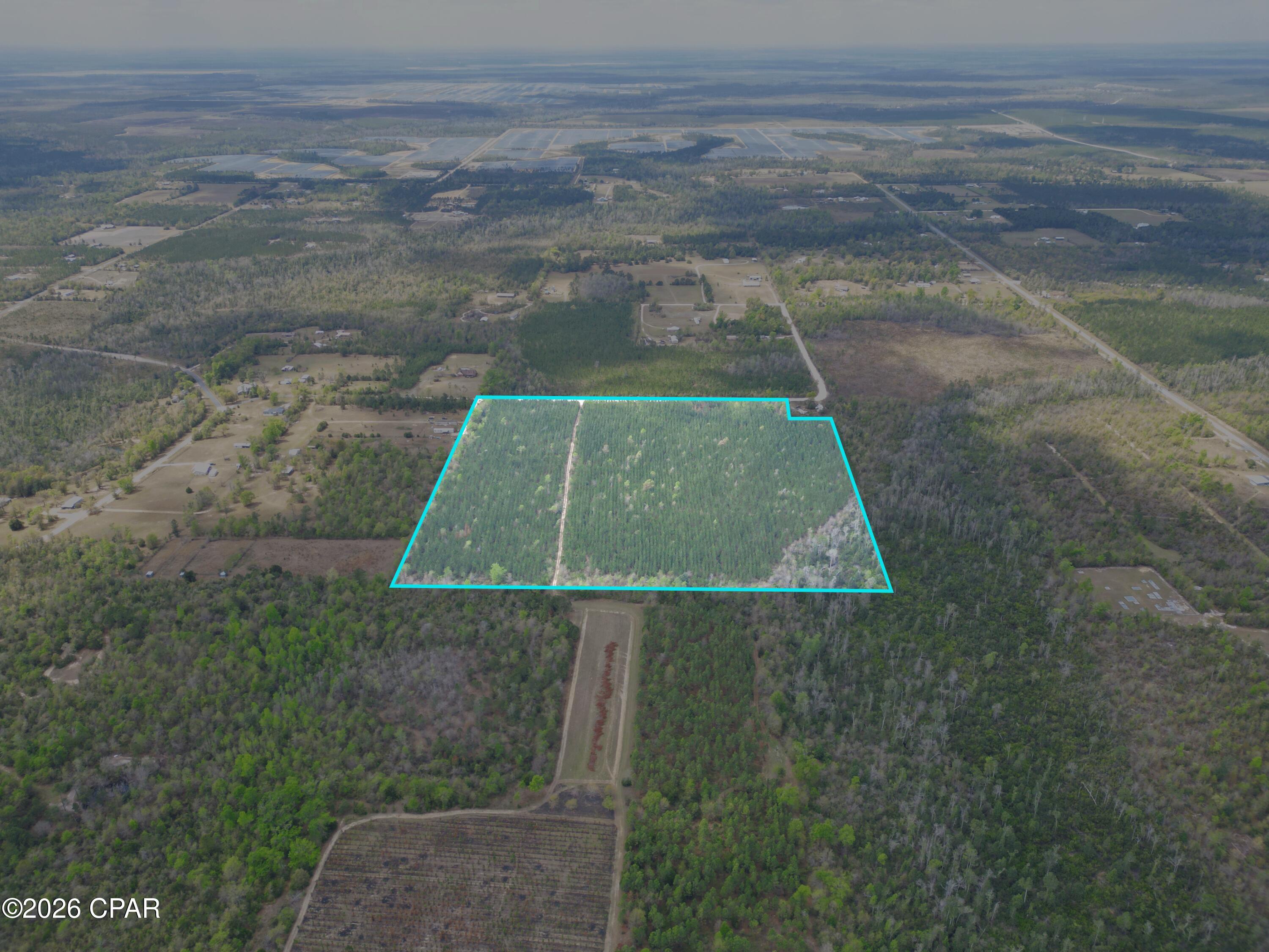 37-acres Northwest Melvin Road Clarksville, FL 32430 - Photo 1 of 7