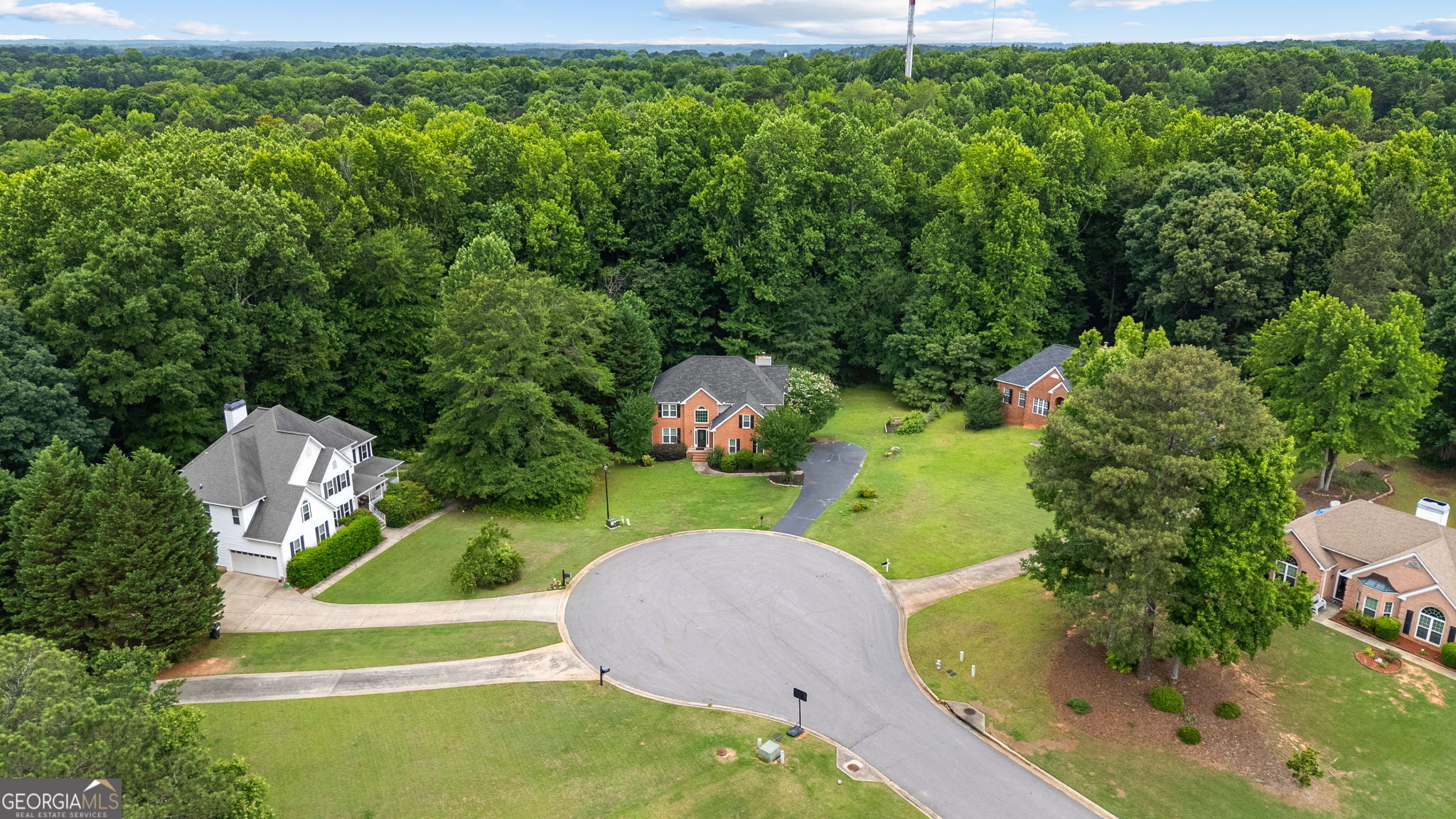 375 Gaelic Way Tyrone, GA 30290 - Photo 50 of 54 a view of a garden with a fountain