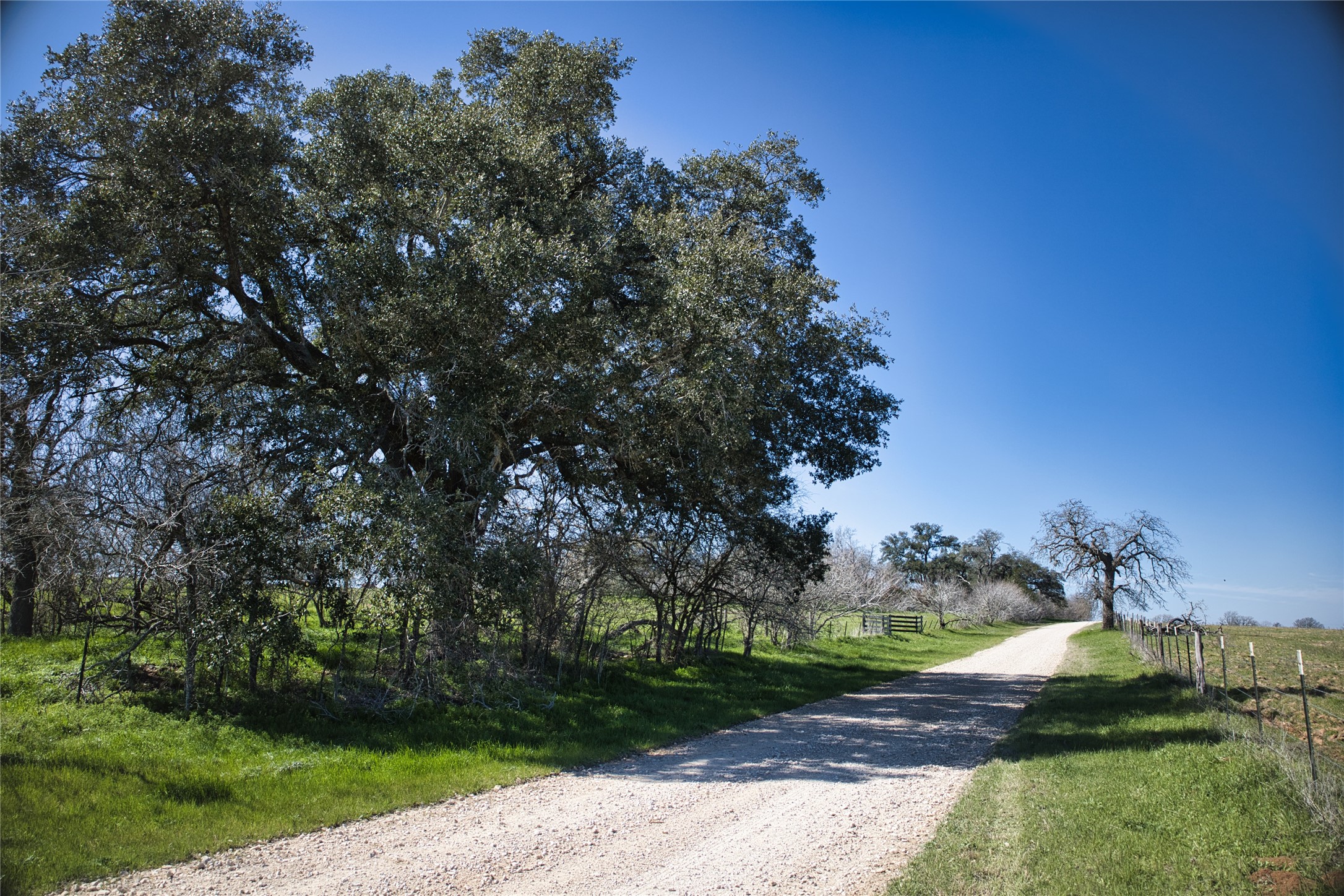 6108 Tenney Creek Road Luling, TX 78648 - Photo 1 of 1
