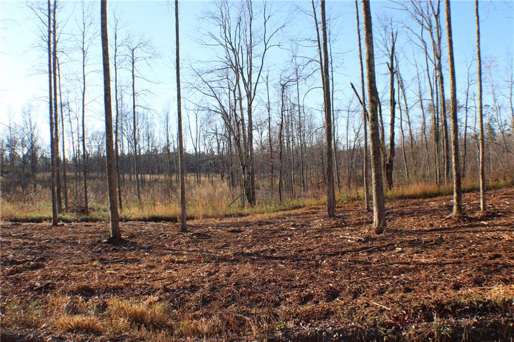 0 Campground Road Waco, GA 30182 - Photo 1 of 1