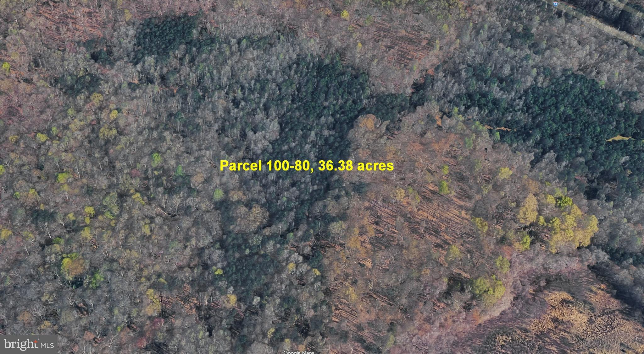 0 Broad St Road Gum Spring, VA 23065 - Photo 4 of 17 a view of a back yard