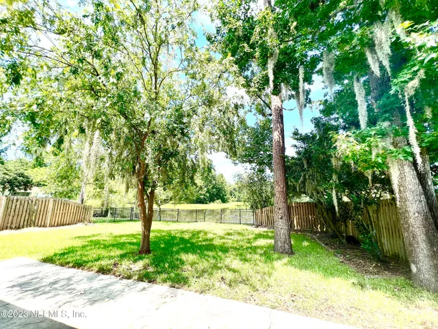 a view of a yard with a tree