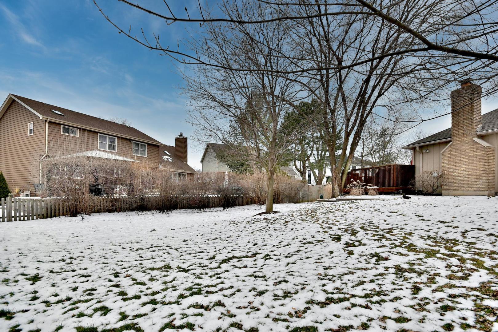 533 Lavina Drive Bolingbrook, IL 60440 - Photo 37 of 44 a street view covered with snow