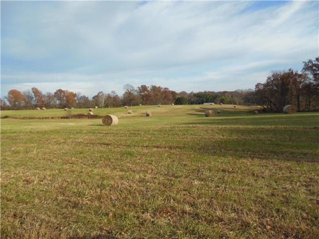 3578 Kinneys Road Cedar Hill, TN 37032 - Photo 3 of 19 One of the many beautiful views on this farm