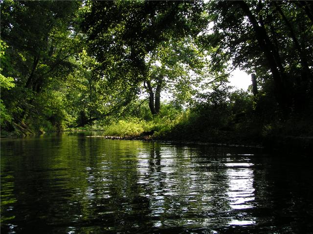 3578 Kinneys Road Cedar Hill, TN 37032 - Photo 8 of 19 A picture of the creek in shadow