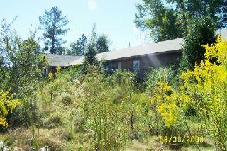 169 Mockingbird Hill Road Oakman, AL 35579 - Photo 1 of 10 Gallery Image 1