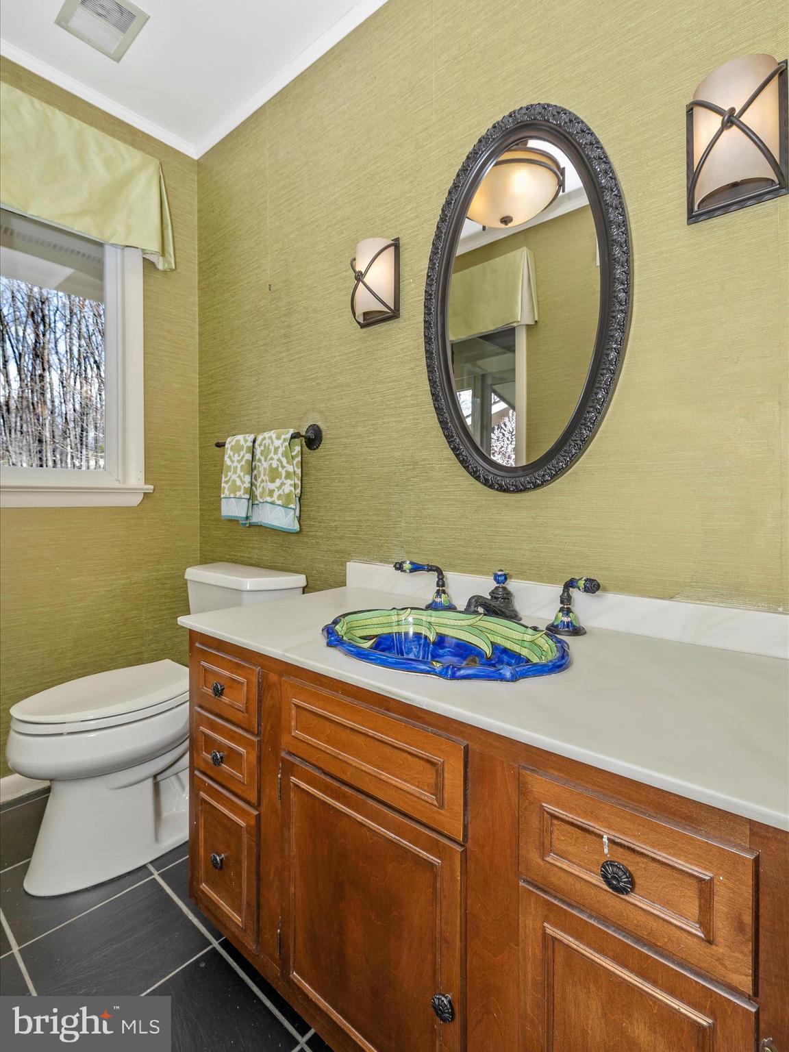 7702 Dance Hall Road Frederick, MD 21701 - Photo 31 of 66 a bathroom with a toilet a sink and a mirror