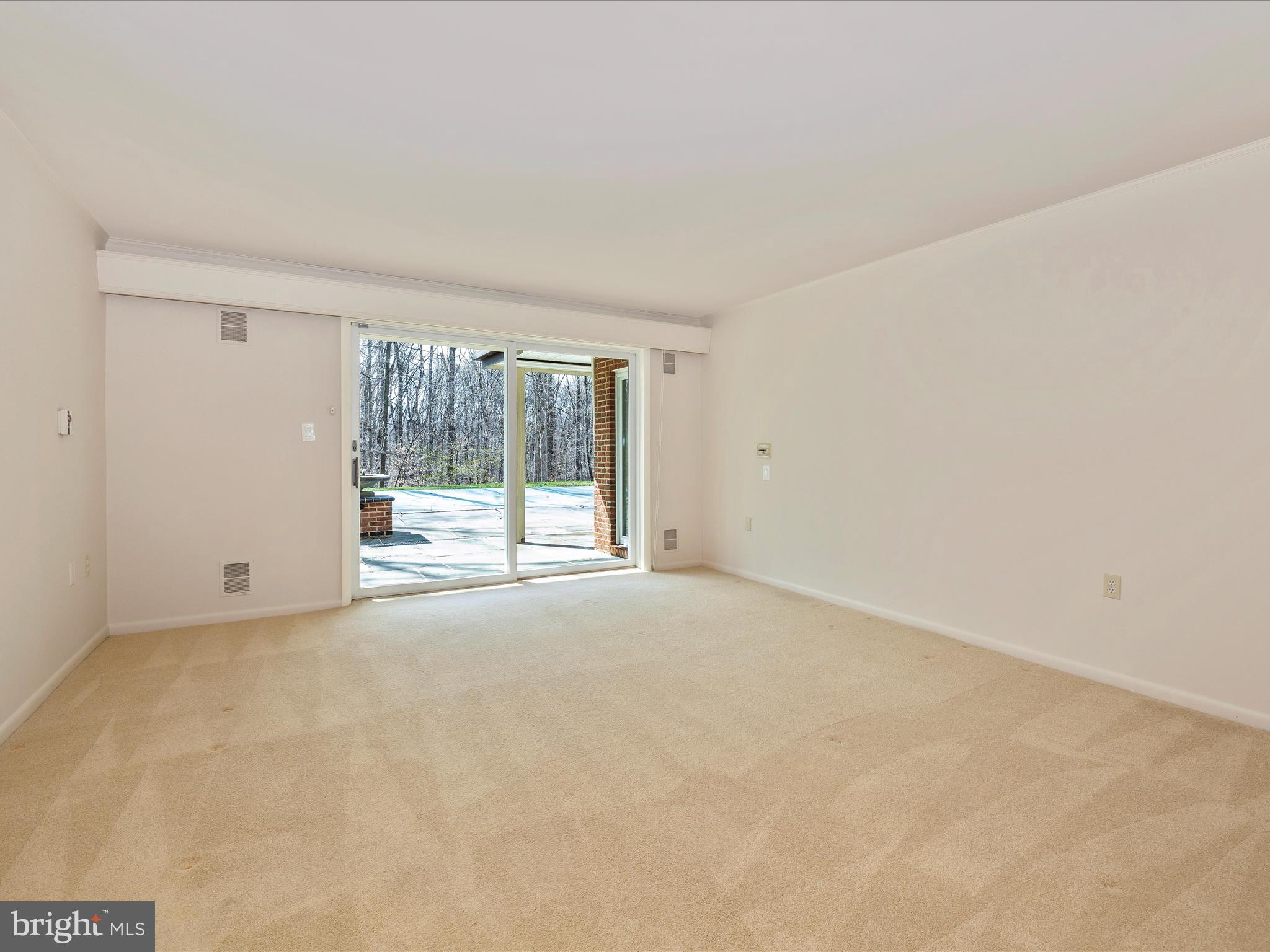 7702 Dance Hall Road Frederick, MD 21701 - Photo 57 of 66 an empty room with a fireplace and large window