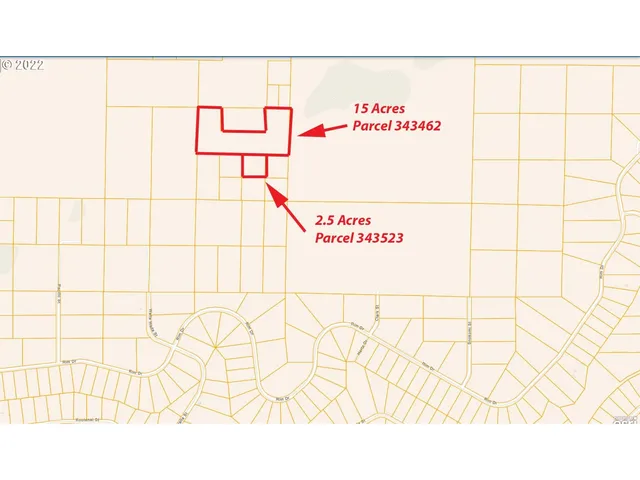 a picture of a black and white photo