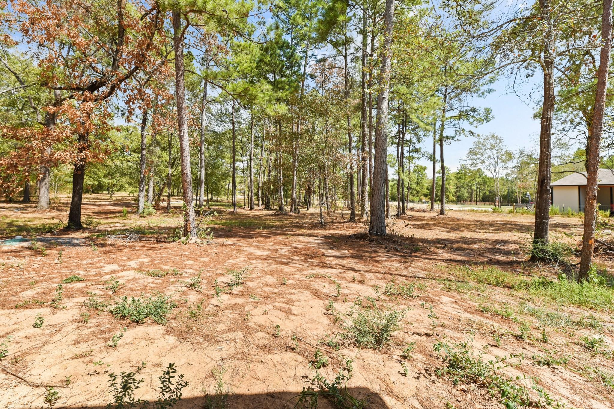 17068 Lively Road Waller, TX 77484 - Photo 26 of 29 a view of park with tree