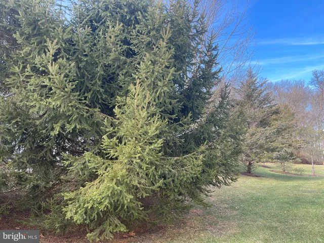 $3,400 | 57 Haddon Court, Pennington, NJ 08534