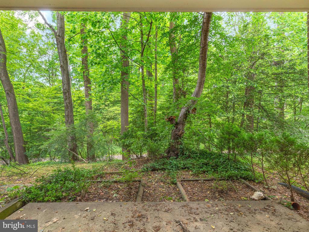 1530 Northgate Square, Unit 1A Reston, VA 20190 - Photo 22 of 24 Gallery Image 22