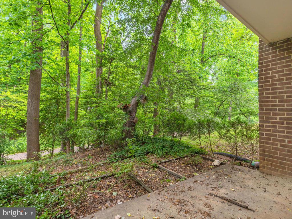 1530 Northgate Square, Unit 1A Reston, VA 20190 - Photo 24 of 24 Gallery Image 24