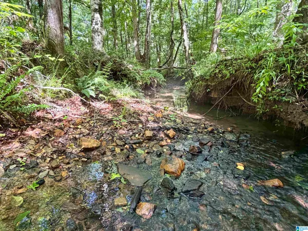 $379,000 | 1721 County Road 823, Wadley, AL 36276
