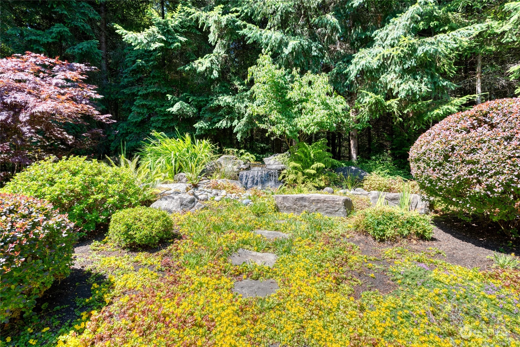 4635 D D Milluhr Road Northeast Olympia, WA 98516 - Photo 20 of 40 a view of a garden with plants