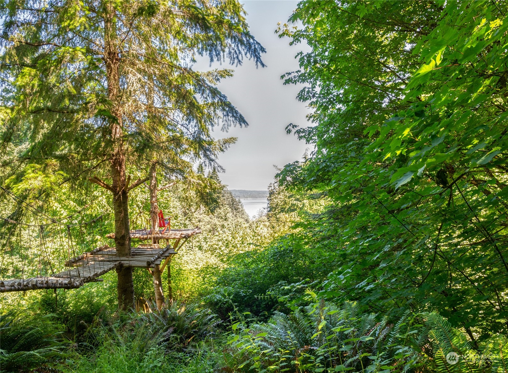 4635 D D Milluhr Road Northeast Olympia, WA 98516 - Photo 33 of 40 a backyard of a house with table and chairs under an umbrella