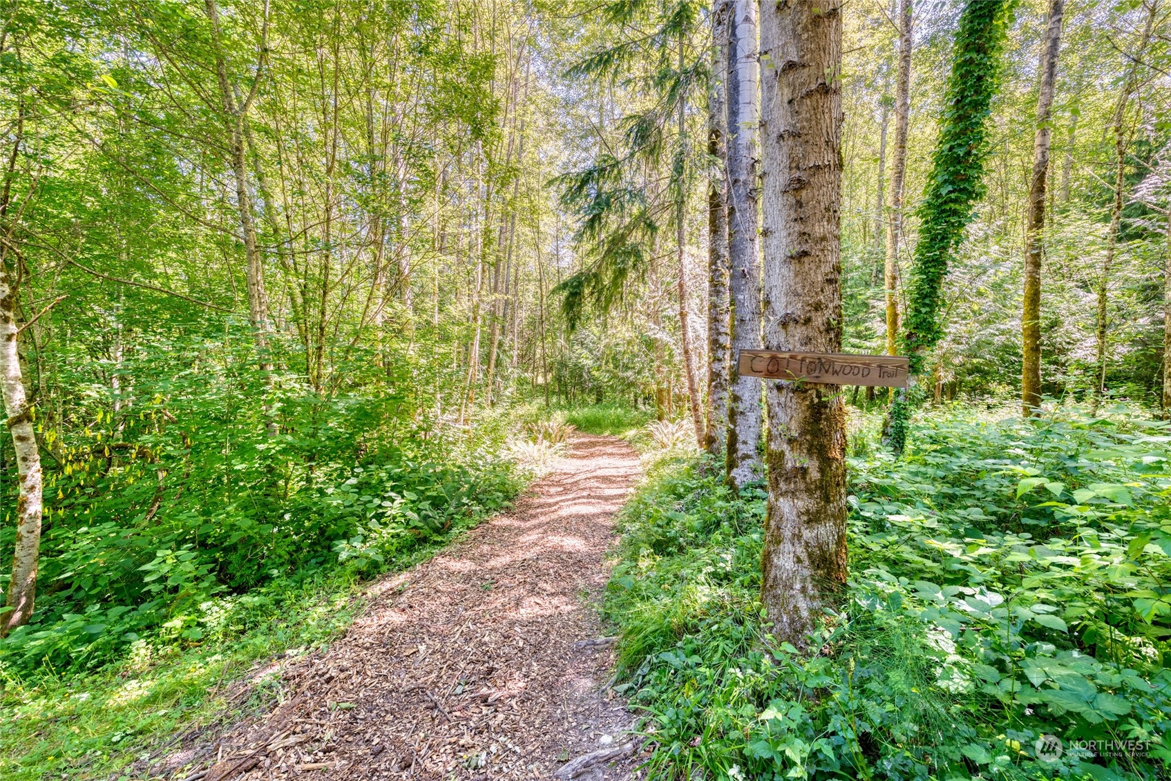 4635 D D Milluhr Road Northeast Olympia, WA 98516 - Photo 34 of 40 a pathway of a yard