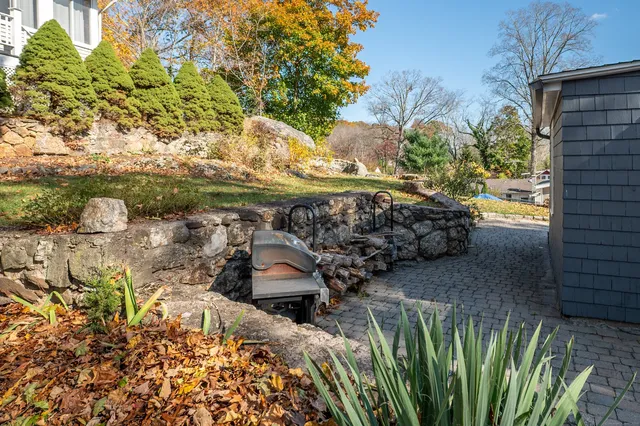 a view of a garden with plants and large trees