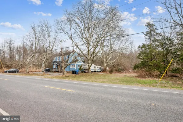 a view of a yard with a trees