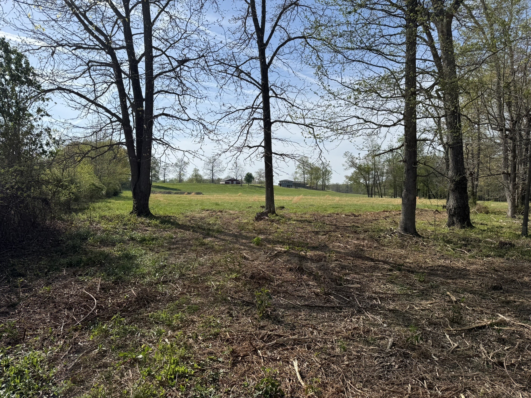 0 Bob Meadows Road Manchester, TN 37355 - Photo 6 of 6
