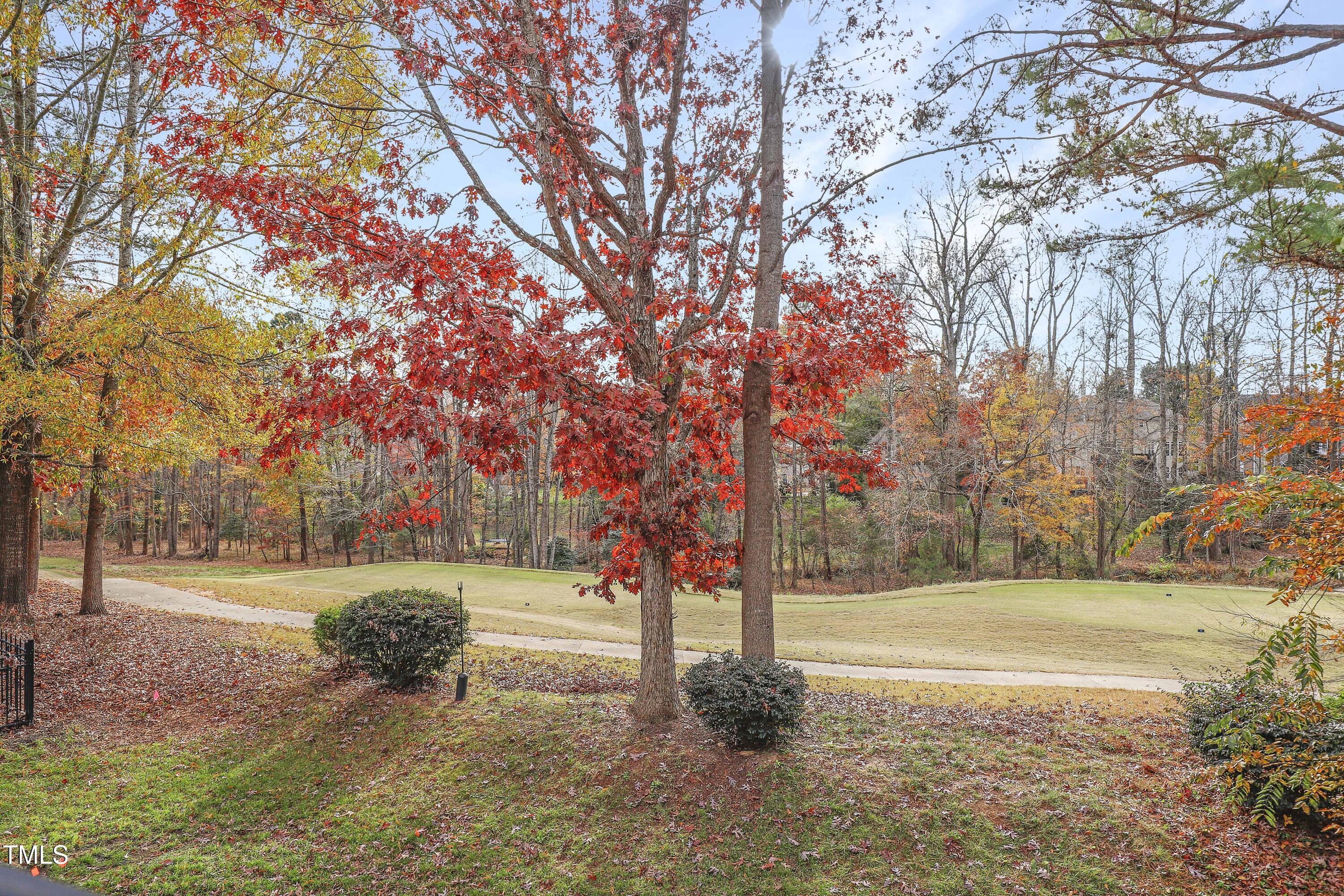 12309 Beestone Lane Raleigh, NC 27614 - Photo 72 of 73 71