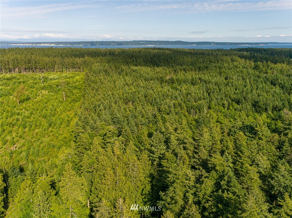 970 Fort Gate Road Nordland, WA 98358 - Photo 36 of 38 Gallery Image 36