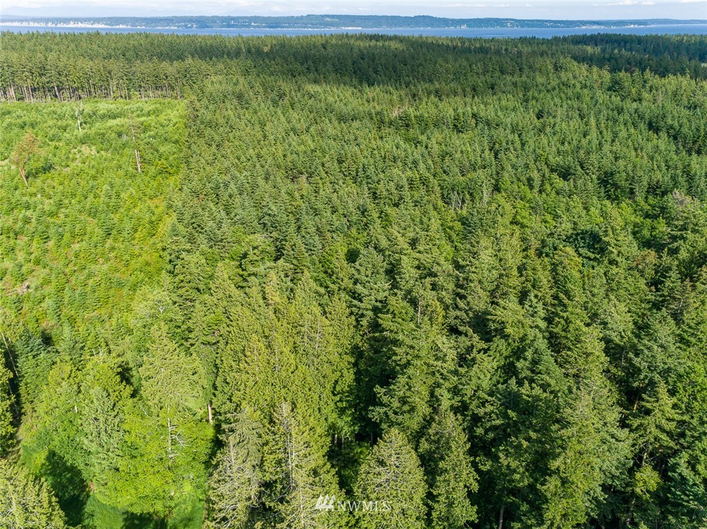 970 Fort Gate Road Nordland, WA 98358 - Photo 38 of 38 Gallery Image 38