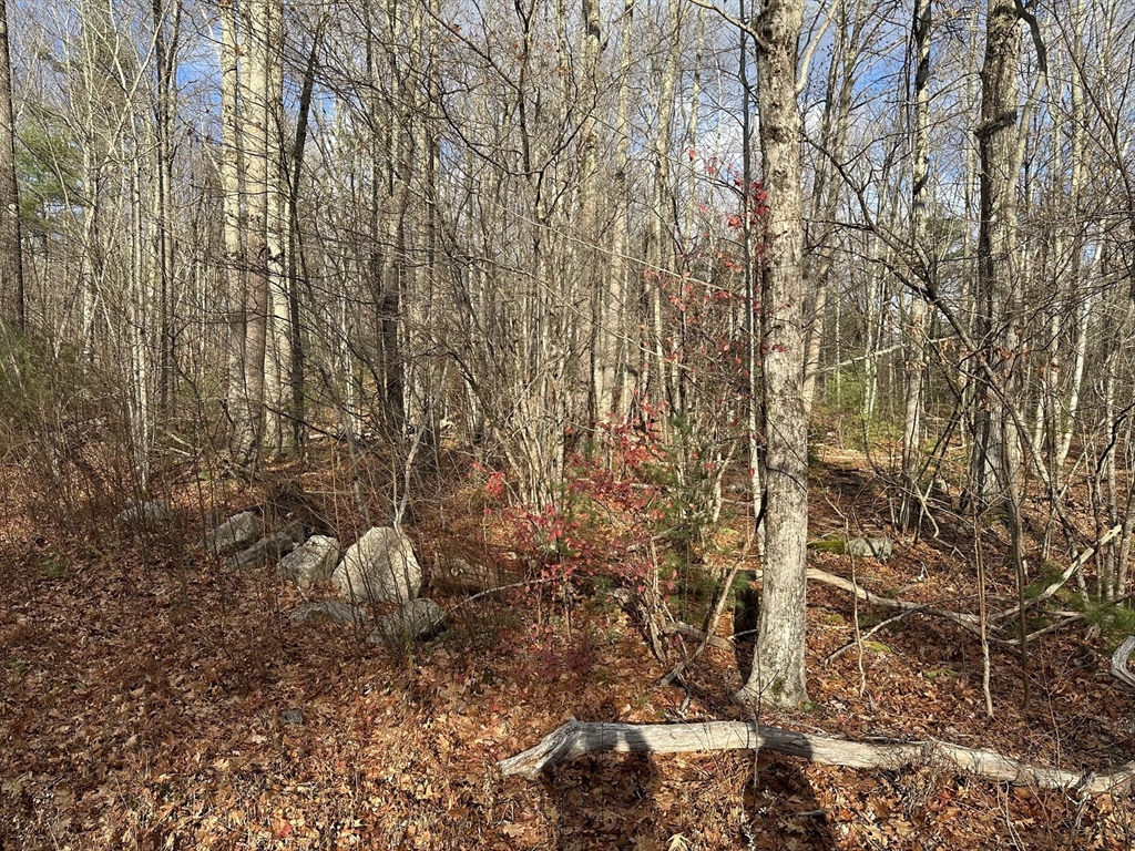 Lot 2 Jourdan Road Westfield, MA 01085 - Photo 1 of 2