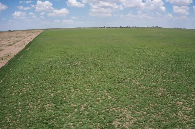 $175,000 | 50 West Acres Highway, Hereford, TX 79045