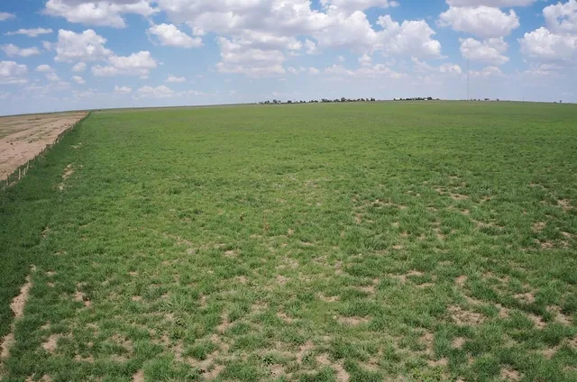 $175,000 | 50 West Acres Highway, Hereford, TX 79045