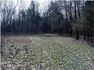 2 Cedarmore Road Bagdad, KY 40003 - Photo 1 of 8 Primary Photo