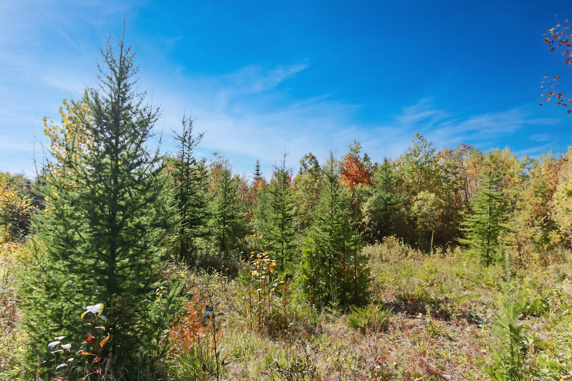 72 Heritage Road Stewartstown, NH 03576 - Photo 54 of 58