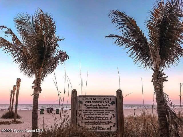 299 Chandler Street, Unit F Cape Canaveral, FL 32920 - Photo 16 of 26 a view of ocean with a palm tree