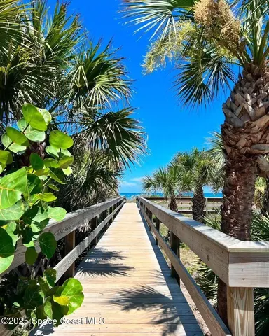 a view of a backyard with plants