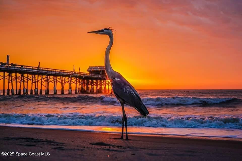 299 Chandler Street, Unit F Cape Canaveral, FL 32920 - Photo 2 of 26 a view of a wooden bridge