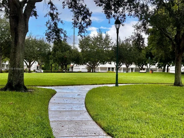 a view of park with tree s