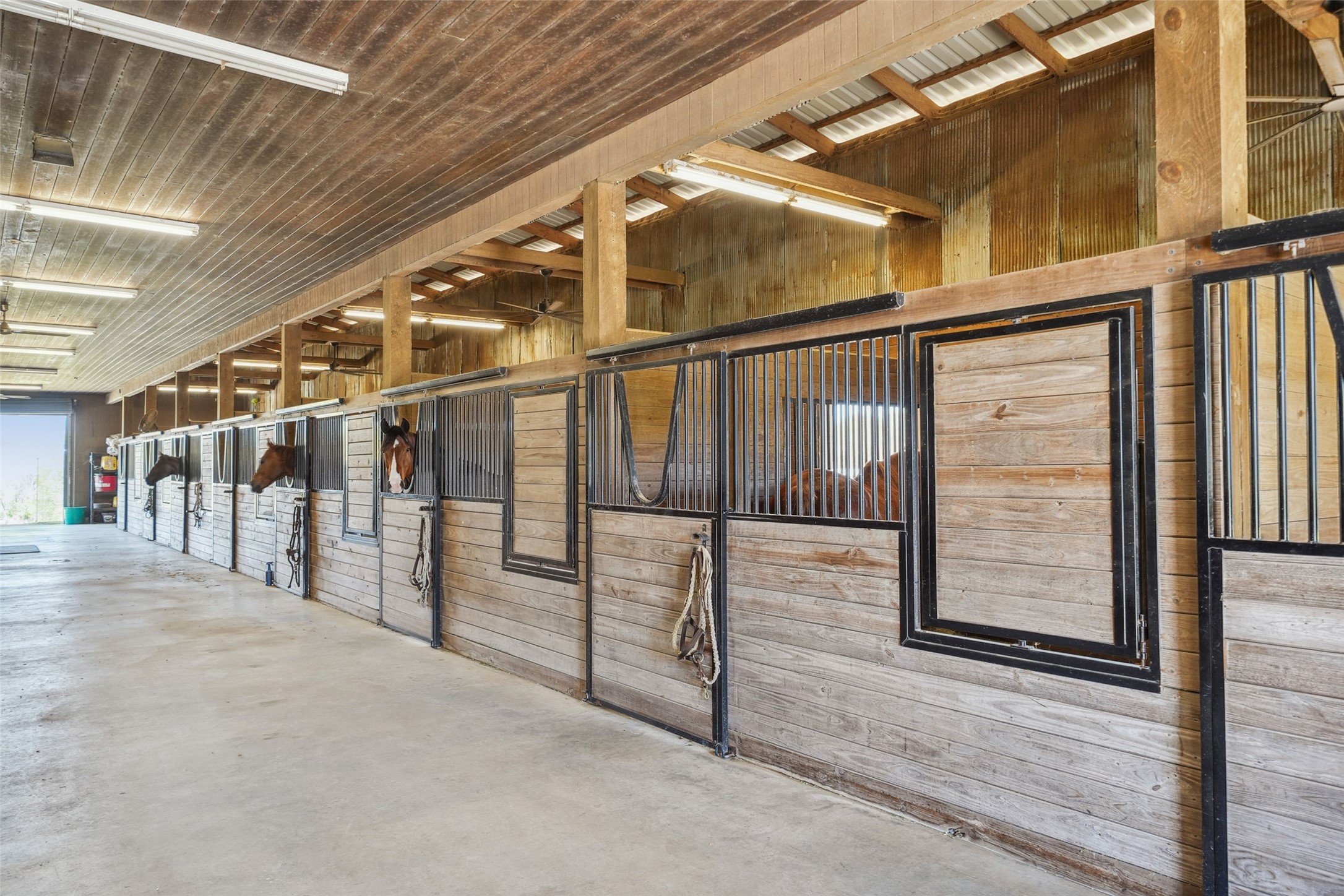 460 Bishop Road Huntsville, TX 77320 - Photo 6 of 50 This barn features eight (12'x12') matted stalls equipped with Classic Equine systems, including swivel feed and hay bins. Each stall has an automatic waterers and a pipe-fenced paddock for individual (12'x50') turnouts. Additional amenities include a workshop area, a half bathroom downstairs, and convenient access through two large pairs of sliding Dutch doors and two roll-up doors at the back.