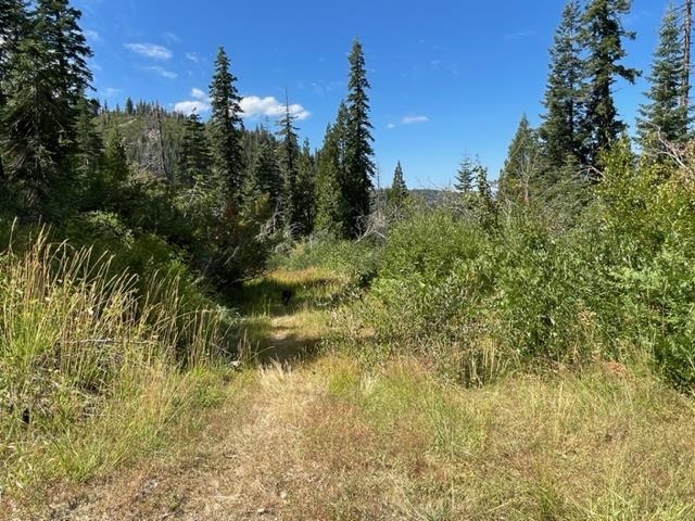 0 Big Creek Road Quincy, CA 95971 - Photo 17 of 19