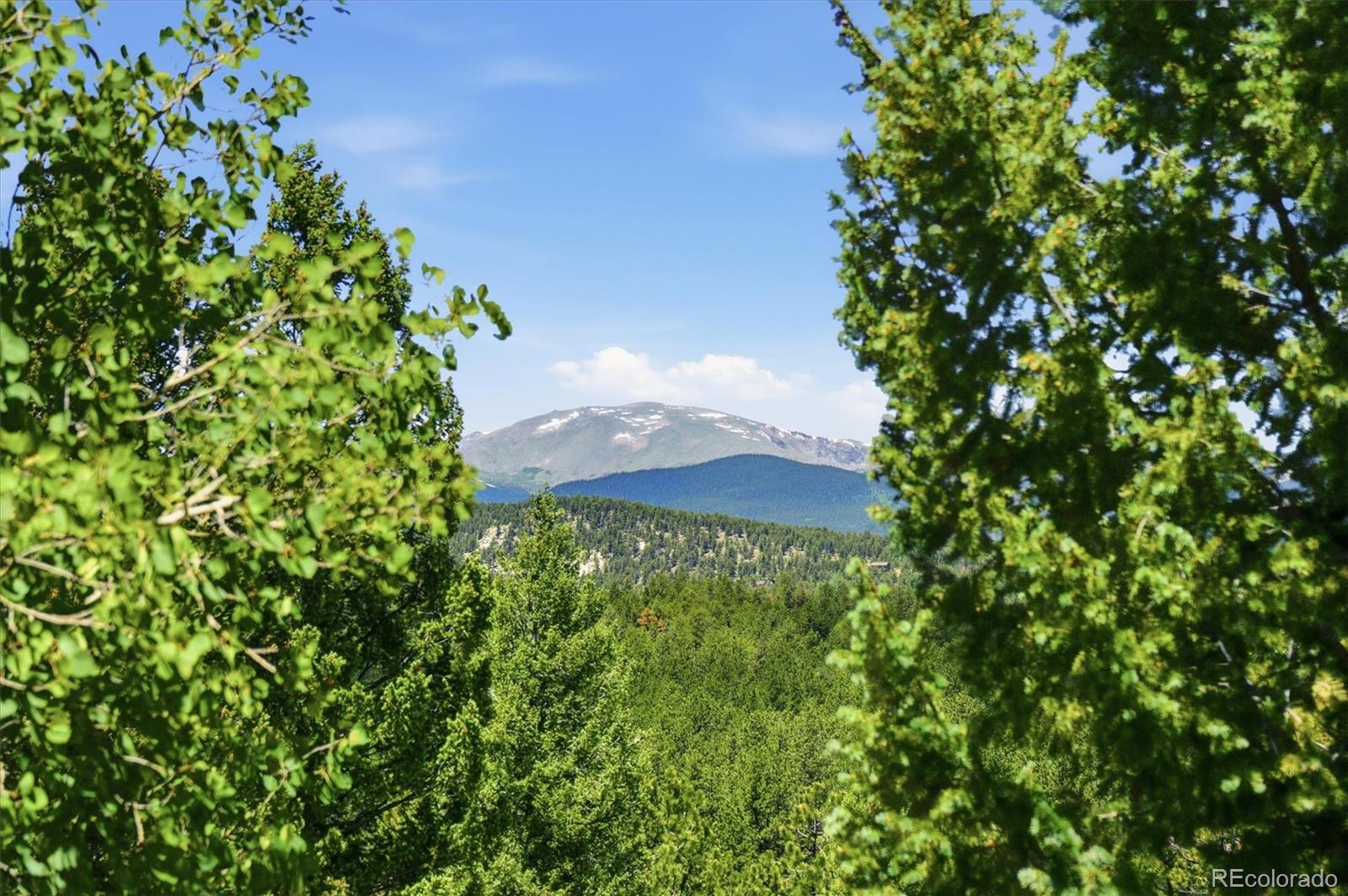 224 Hangmans Road Bailey, CO 80421 - Photo 25 of 31