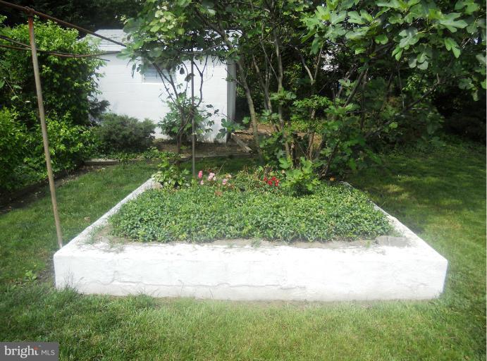 8116 Ridgely Oak Road Parkville, MD 21234 - Photo 23 of 27 Garden