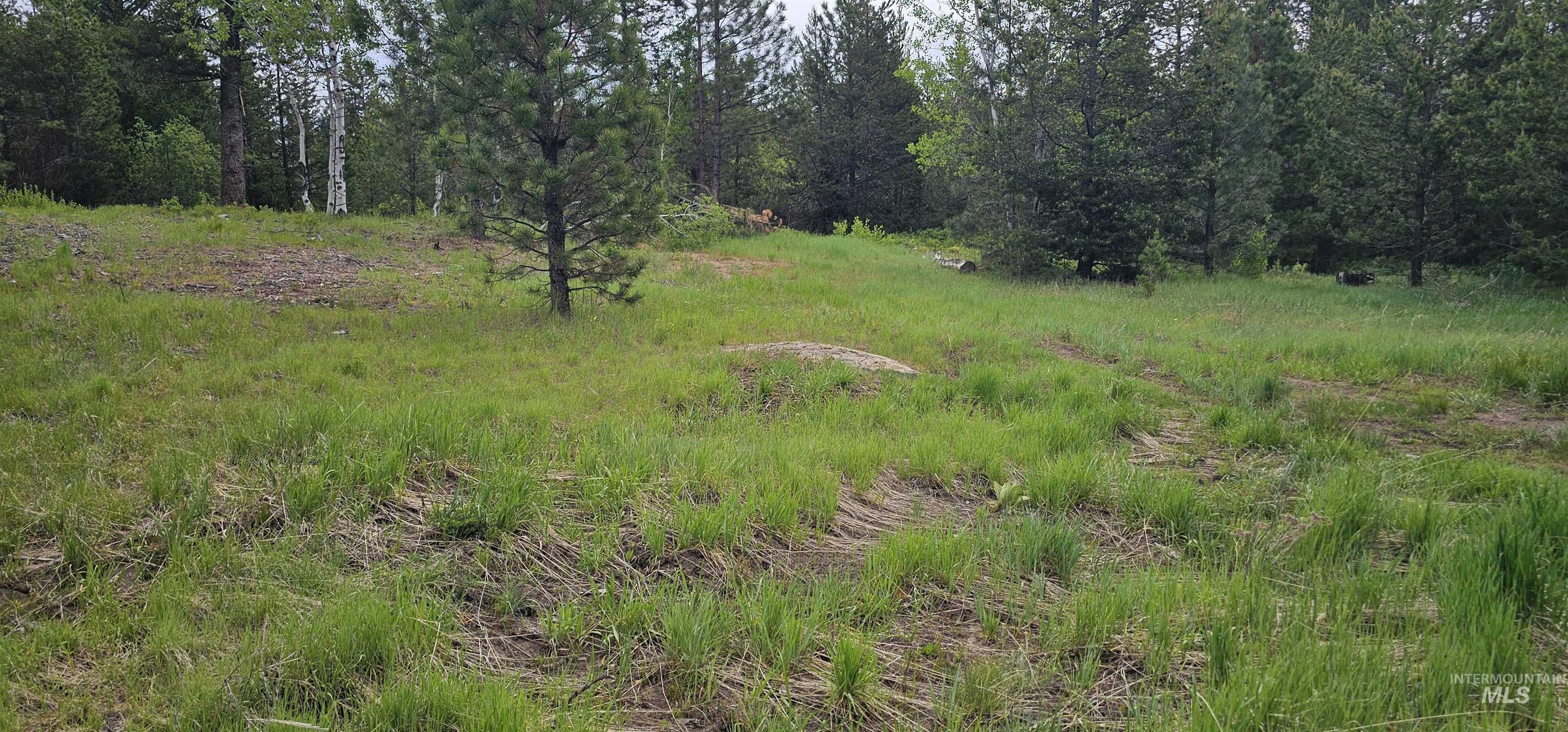 23 Sawtooth Loop Cascade, ID 83611 - Photo 11 of 45