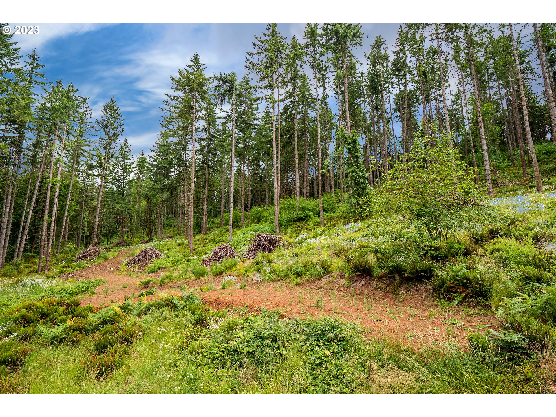 29588 Simmons Road Eugene, OR 97405 - Photo 42 of 44 a backyard of a house with lots of green space